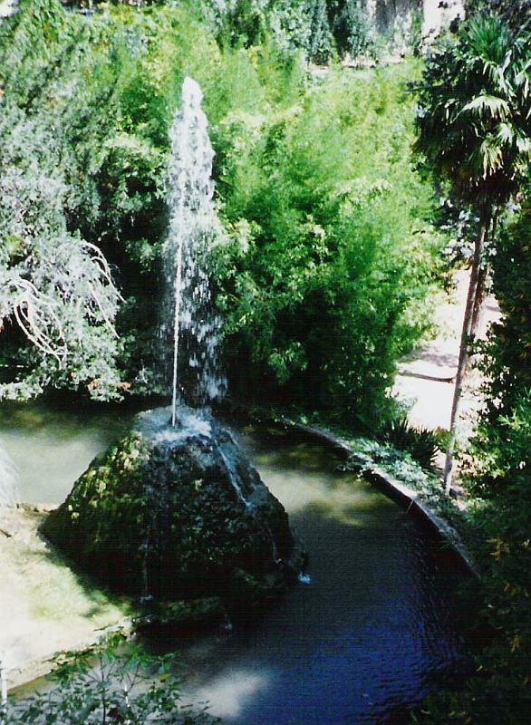 bal3.jpg - Palma